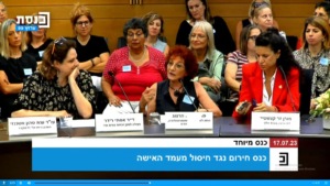 NCJW's Israel team in the background of Monday's "emergency conference on the elimination of the status of women” in the Knesset