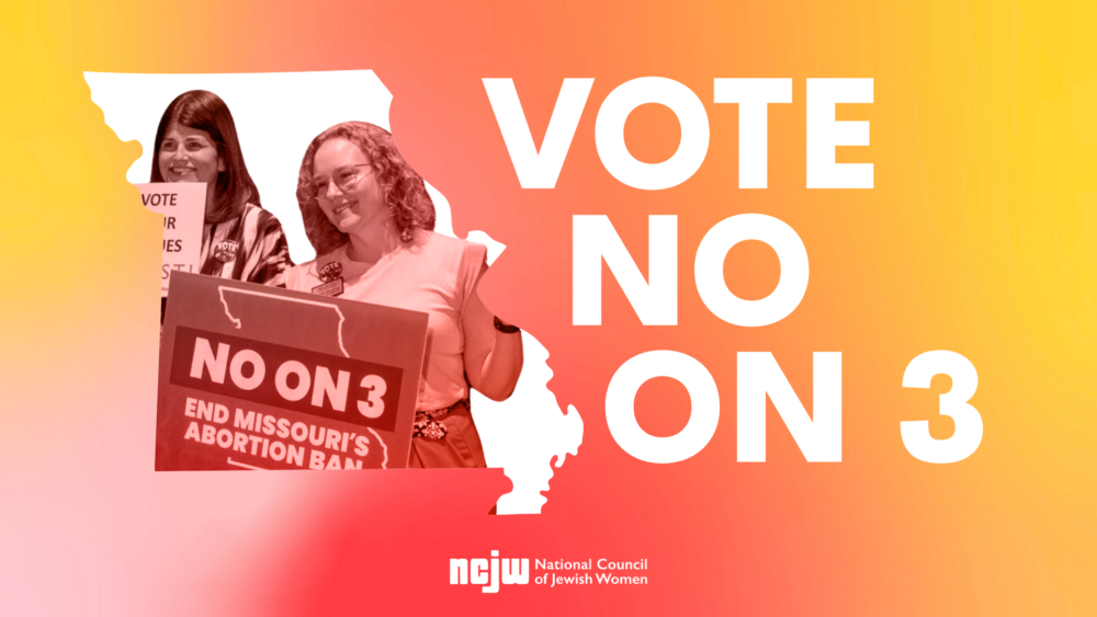 Vote NO on Amendment 3
